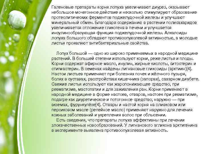 Галеновые препараты корня лопуха увеличивают диурез, оказывают небольшое мочегонное действие и несколько стимулируют образование