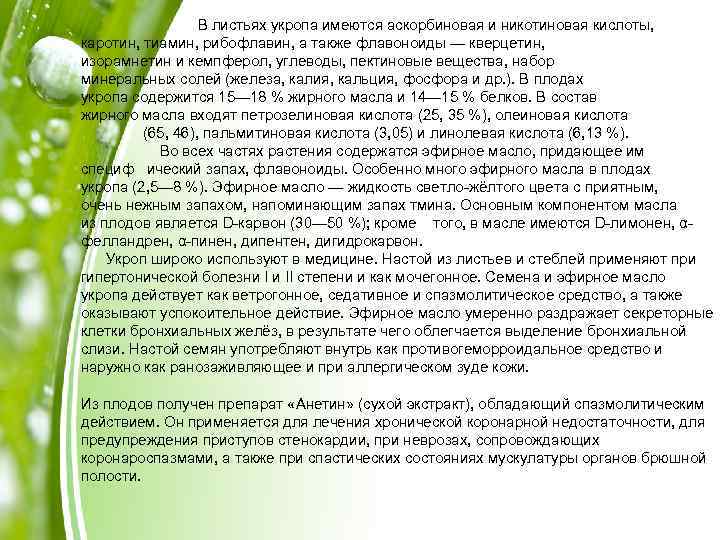 В листьях укропа имеются аскорбиновая и никотиновая кислоты, каротин, тиамин, рибофлавин, а также флавоноиды