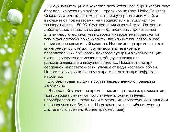 В научной медицине в качестве лекарственного сырья используют бесплодные весенние побеги — траву хвоща