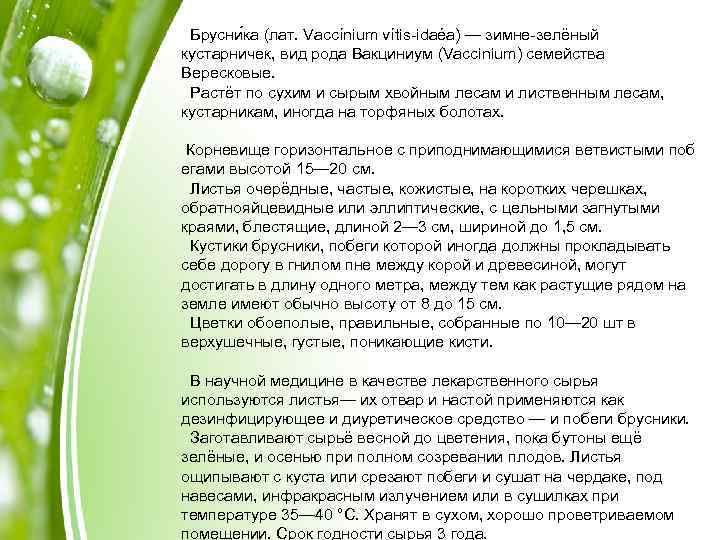 Брусни ка (лат. Vaccínium vítis-idaéa) — зимне-зелёный кустарничек, вид рода Вакциниум (Vaccinium) семейства Вересковые.