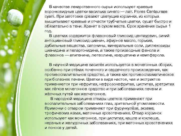 В качестве лекарственного сырья используют краевые воронковидные цветки василька синего — лат. Flores Centaureae