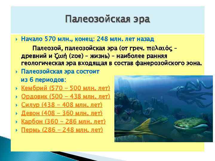  Палеозойская эра Начало 570 млн. , конец: 248 млн. лет назад Палеозой, палеозойская