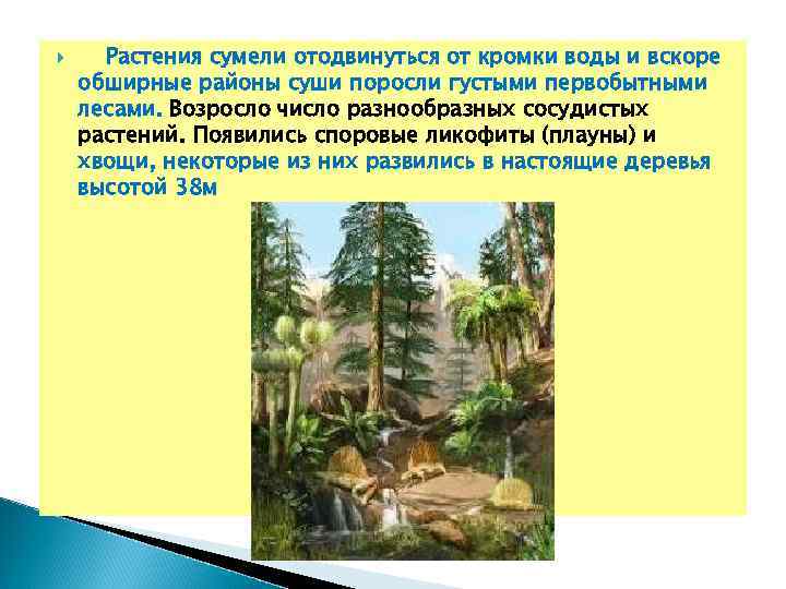  Растения сумели отодвинуться от кромки воды и вскоре обширные районы суши поросли густыми