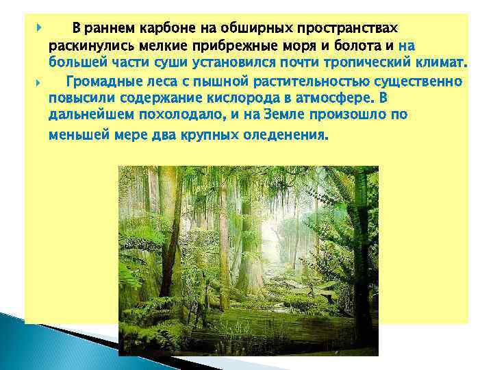  В раннем карбоне на обширных пространствах раскинулись мелкие прибрежные моря и болота и