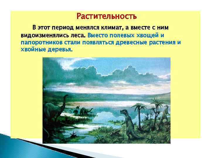  Растительность В этот период менялся климат, а вместе с ним видоизменялись леса. Вместо