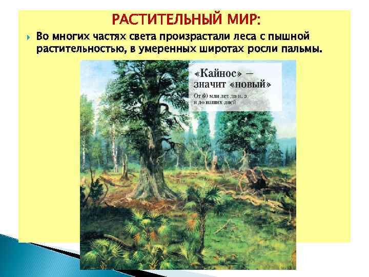  РАСТИТЕЛЬНЫЙ МИР: Во многих частях света произрастали леса с пышной растительностью, в умеренных