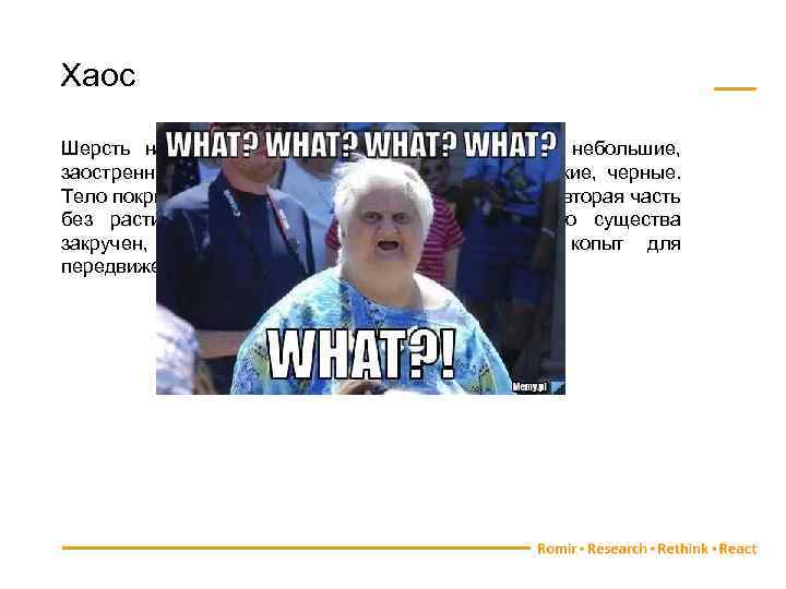 Хаос Шерсть на голове у этого существа бурая. Уши небольшие, заостренные, немного приплюснутые. Глаза