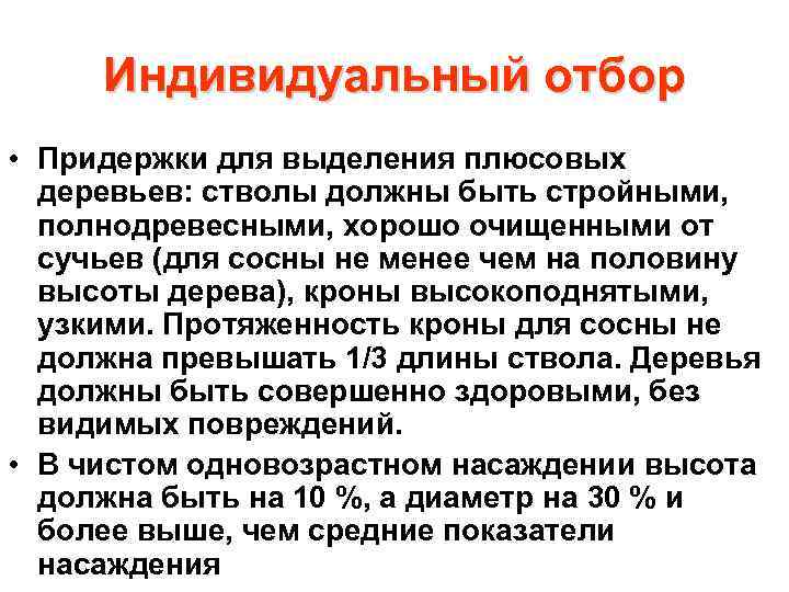 Индивидуальный отбор • Придержки для выделения плюсовых деревьев: стволы должны быть стройными, полнодревесными, хорошо