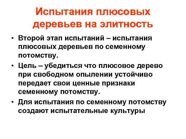 Испытания плюсовых деревьев на элитность • Второй этап испытаний – испытания плюсовых деревьев по