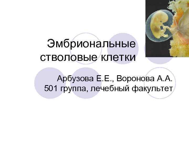 Эмбриональные стволовые клетки Арбузова Е. Е. , Воронова А. А. 501 группа, лечебный факультет