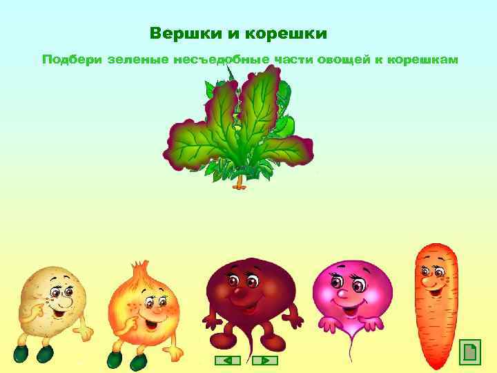 Вершки и корешки Подбери зеленые несъедобные части овощей к корешкам 