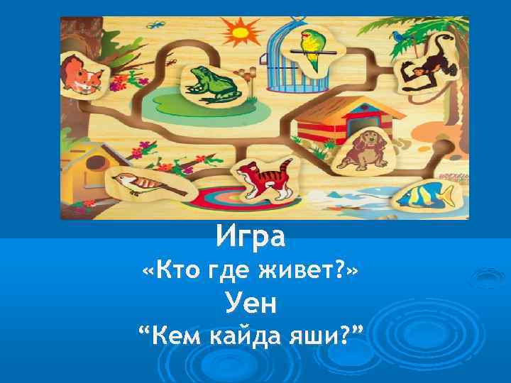 Кому где жить. Игра кто у кого. Игра кто с кем где. Кем кайда Яши. Где где живут.