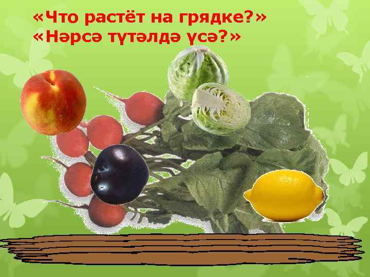  «Что растёт на грядке? » «Нәрсә түтәлдә үсә? » www. logoped. ru 