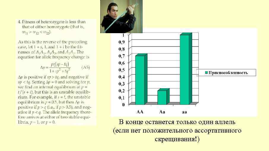 В конце останется только один аллель (если нет положительного ассортативного скрещивания!) 