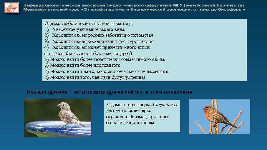Однако разборчивость приносит выгоды. 1) Уверенное узнавание своего вида 2) Хороший самец хорошо заботится