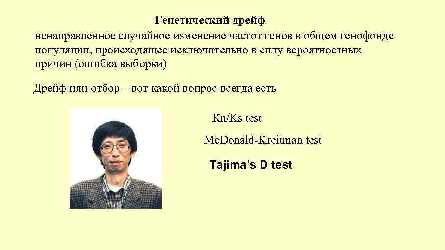 Генетический дрейф ненаправленное случайное изменение частот генов в общем генофонде популяции, происходящее исключительно в