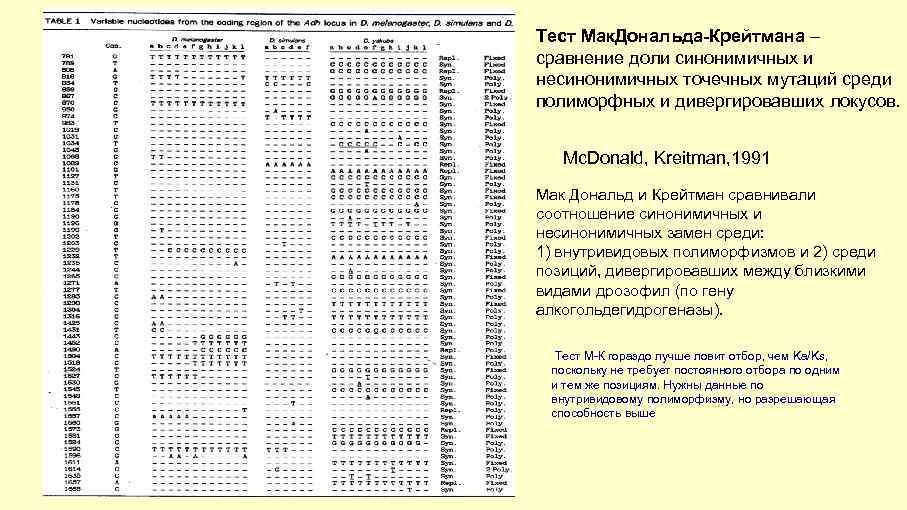 Тест Мак. Дональда-Крейтмана – сравнение доли синонимичных и несинонимичных точечных мутаций среди полиморфных и