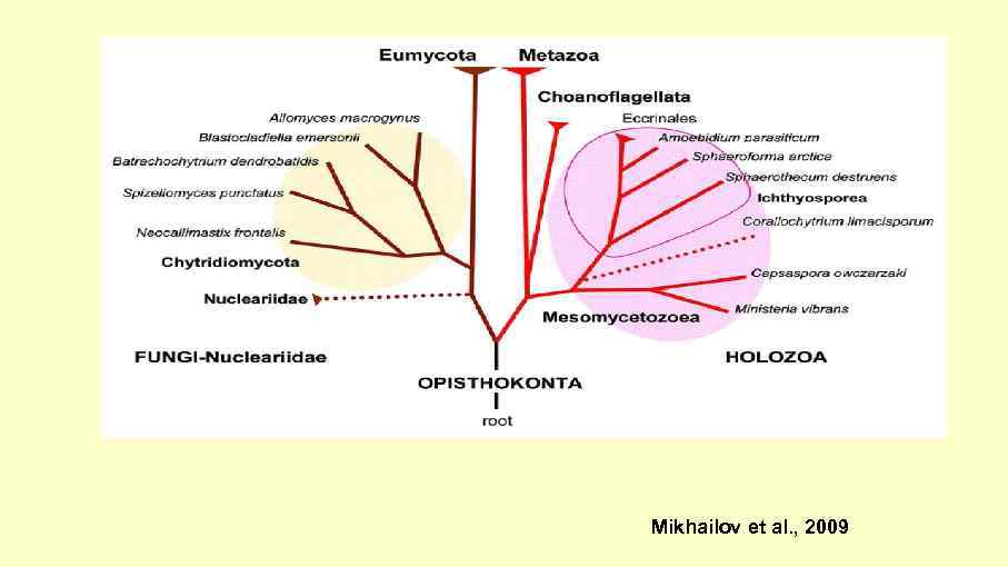 Mikhailov et al. , 2009 