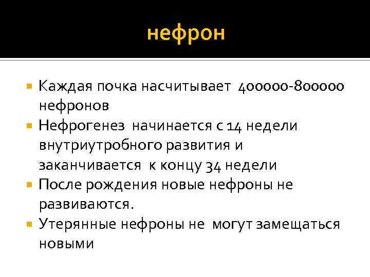 нефрон Каждая почка насчитывает 400000 -800000 нефронов Нефрогенез начинается с 14 недели внутриутробного развития