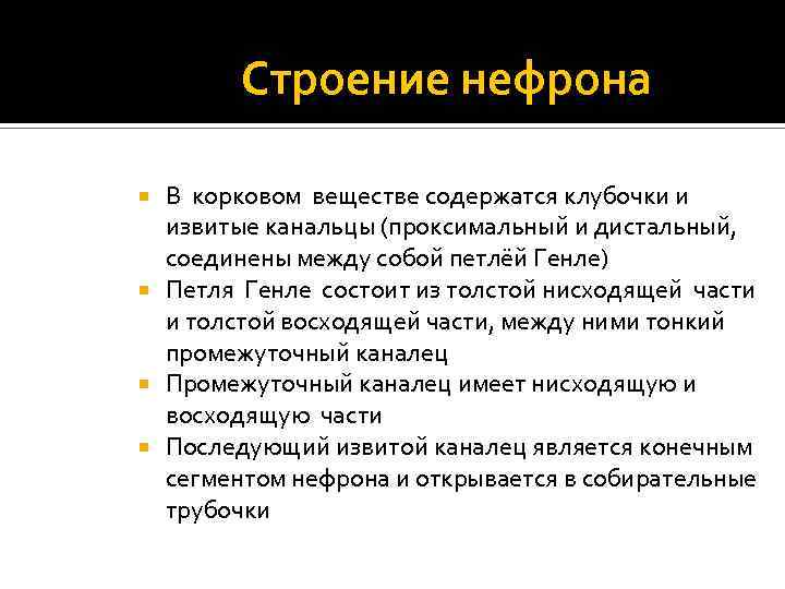 Строение нефрона В корковом веществе содержатся клубочки и извитые канальцы (проксимальный и дистальный, соединены
