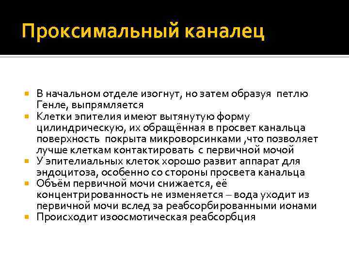 Проксимальный каналец В начальном отделе изогнут, но затем образуя петлю Генле, выпрямляется Клетки эпителия