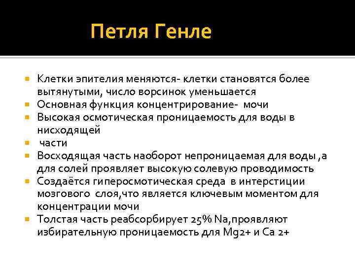 Петля Генле Клетки эпителия меняются- клетки становятся более вытянутыми, число ворсинок уменьшается Основная функция