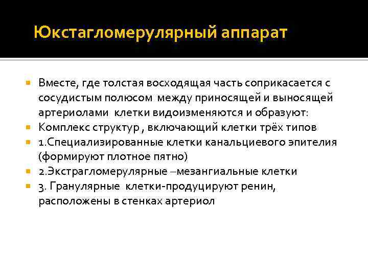 Юкстагломерулярный аппарат Вместе, где толстая восходящая часть соприкасается с сосудистым полюсом между приносящей и