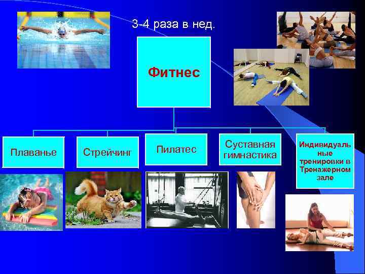 3 -4 раза в нед. Фитнес Плаванье Стрейчинг Пилатес Суставная гимнастика Индивидуаль ные тренировки