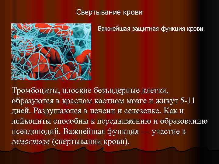 Тромбоциты картинки для презентации