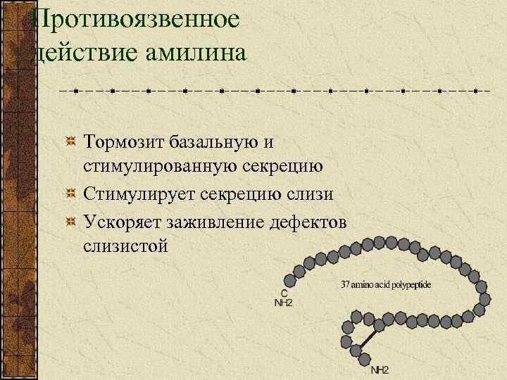 Противоязвенное действие амилина Тормозит базальную и стимулированную секрецию Стимулирует секрецию слизи Ускоряет заживление дефектов