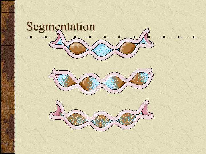 Segmentation 