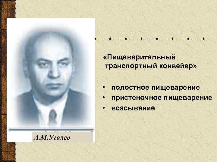  «Пищеварительный транспортный конвейер» • полостное пищеварение • пристеночное пищеварение • всасывание А. М.