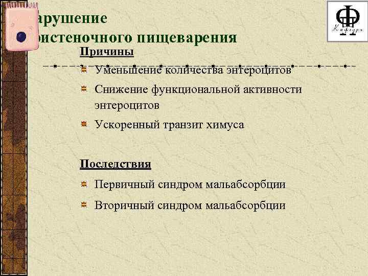 Нарушение пристеночного пищеварения Причины Уменьшение количества энтероцитов Снижение функциональной активности энтероцитов Ускоренный транзит химуса