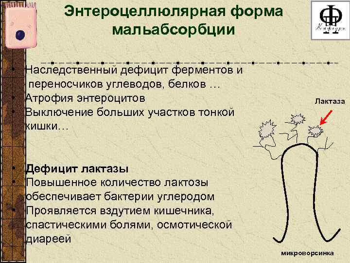 Энтероцеллюлярная форма мальабсорбции • Наследственный дефицит ферментов и переносчиков углеводов, белков … • Атрофия