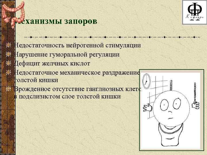 Механизмы запоров Недостаточность нейрогенной стимуляции Нарушение гуморальной регуляции Дефицит желчных кислот Недостаточное механическое раздражение