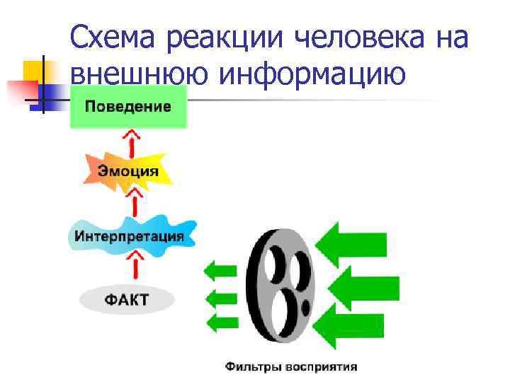 Схема реакции человека на внешнюю информацию 