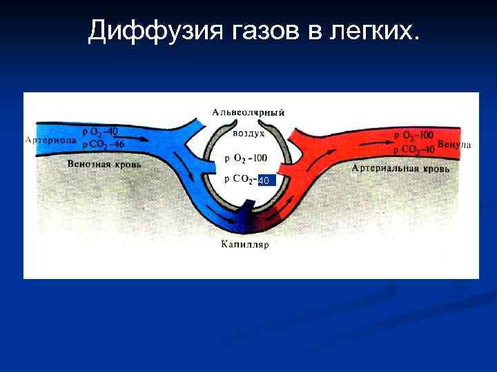 Диффузия в газах картинки