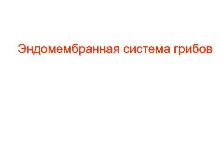 Эндомембранная система грибов 