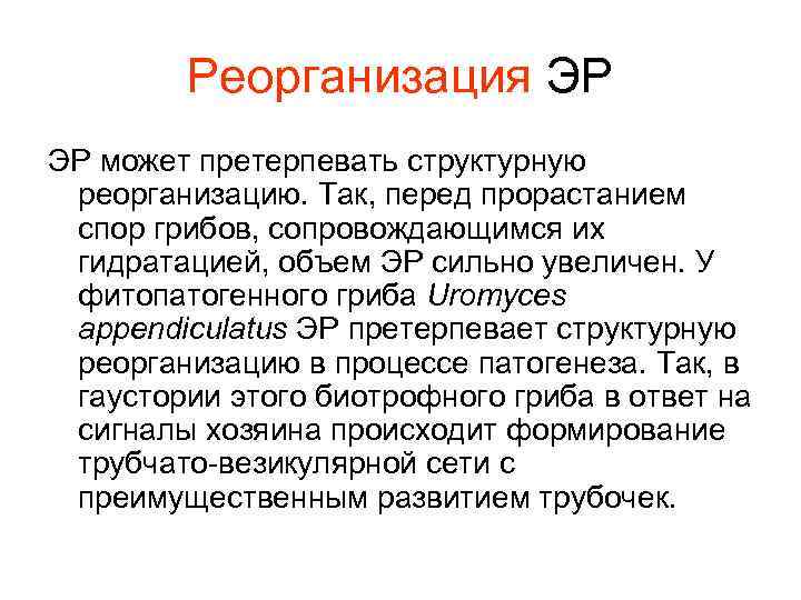 Реорганизация ЭР ЭР может претерпевать структурную реорганизацию. Так, перед прорастанием спор грибов, сопровождающимся их