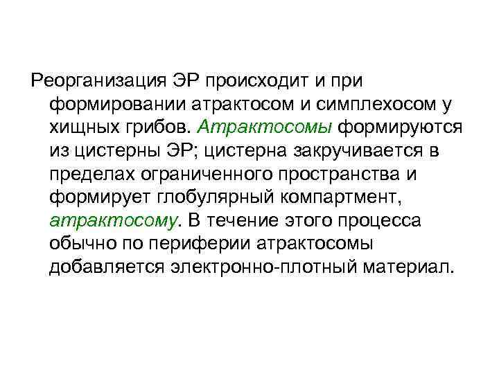Реорганизация ЭР происходит и при формировании атрактосом и симплехосом у хищных грибов. Атрактосомы формируются