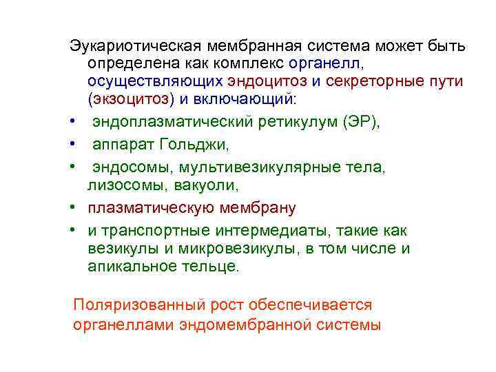 Мембранная система. Эндомембранная система. Система может быть. Эндомембранная система и её компоненты схема. Эндомембранная это.