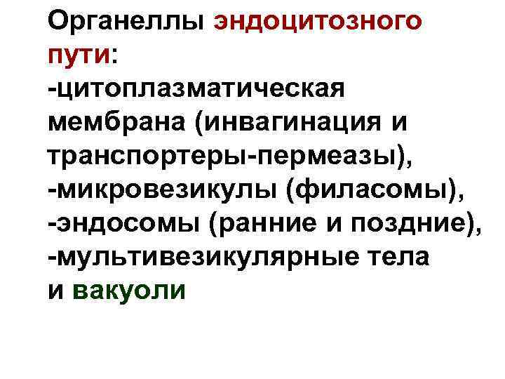 Органеллы эндоцитозного пути: -цитоплазматическая мембрана (инвагинация и транспортеры-пермеазы), -микровезикулы (филасомы), -эндосомы (ранние и поздние),