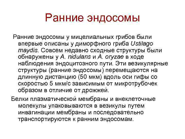 Ранние эндосомы у мицелиальных грибов были впервые описаны у диморфного гриба Ustilago maydis. Совсем
