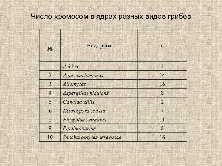 Число хромосом в ядрах разных видов грибов Вид гриба № п 1 Achlya 3