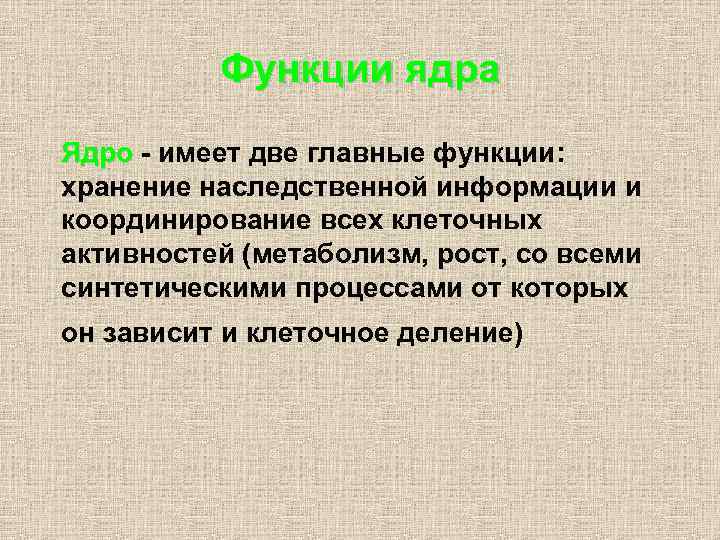 Функции ядра Ядро - имеет две главные функции: хранение наследственной информации и координирование всех