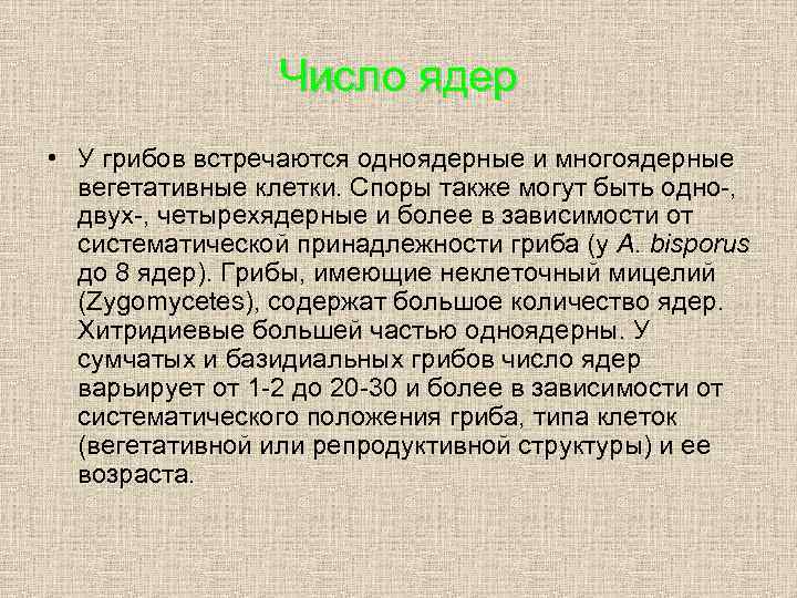 Число ядер • У грибов встречаются одноядерные и многоядерные вегетативные клетки. Споры также могут