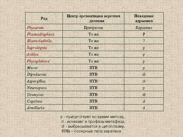 Центр организации веретена деления Поведение ядрышка Центриоли Ядрышко Plasmodiophora То же P Blastocladiella То