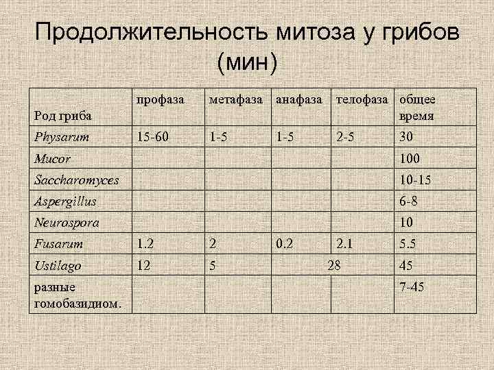 Продолжительность митоза у грибов (мин) профаза метафаза анафаза телофаза общее время 15 -60 1