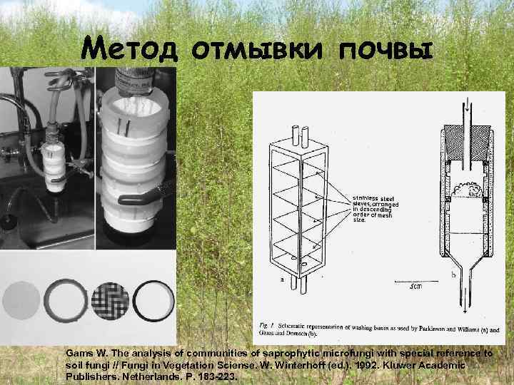 Метод отмывки почвы Gams W. The analysis of communities of saprophytic microfungi with special