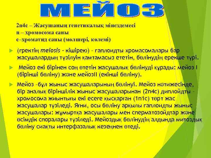 2 n 4 c – Жасушаның генетикалық мінездемесі n – хромосома саны с–хроматид саны